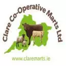 CLARE MARTS LOGO