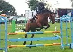 Show jumping